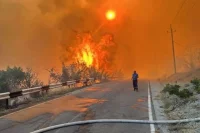 Из-за ветра огонь быстро охватил большую территорию.