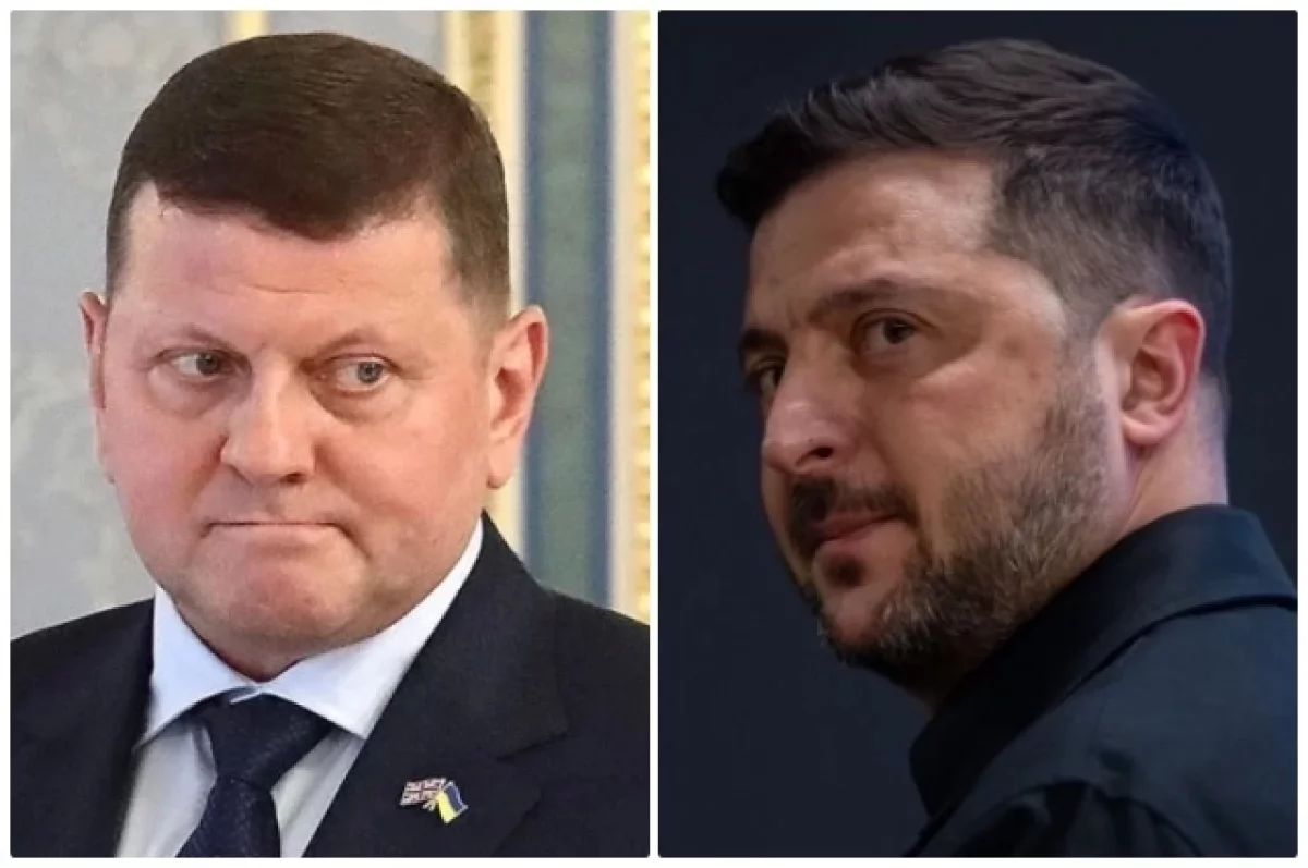 Последние дни Зеленского: раскрыт план Залужного по приходу к власти