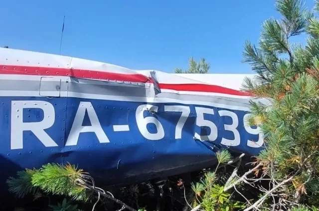 Самолёт Cessna 182 в тайге