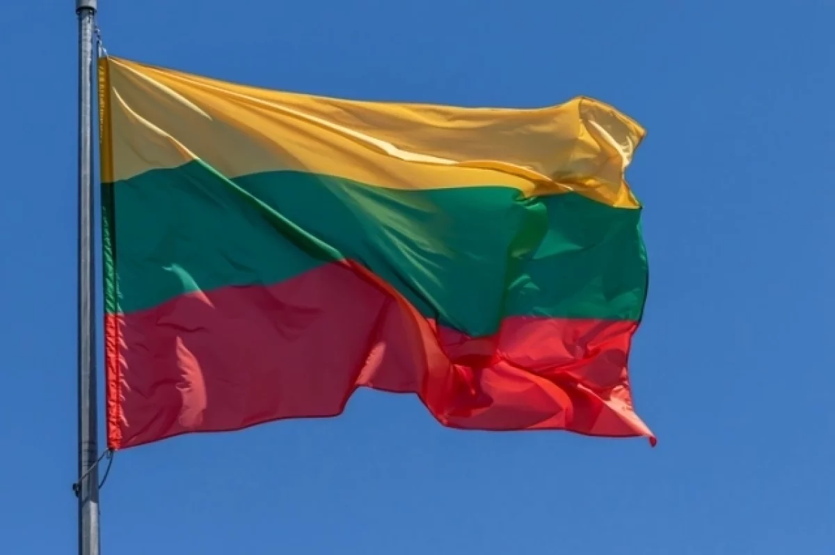 Власти Литвы утверждают, что РФ может атаковать Прибалтику украинскими БПЛА