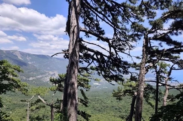 В Крыму сохраняется аномальная жара. 