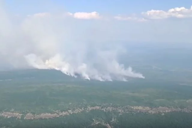 Леса Красноярского края в огне.