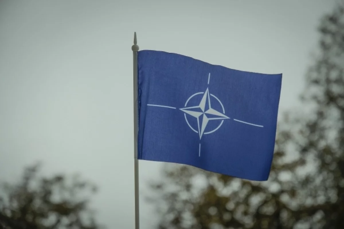 В США предупредили Украину о серьезном препятствии на пути в НАТО