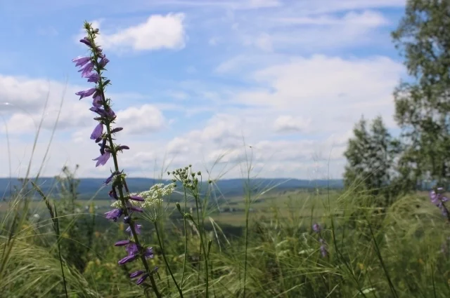 Четверг станет самым тёплым днём недели. 