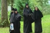 Кедровник открывают раз в году. 