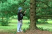 Кедровник был посажен царем Иваном Грозным. 