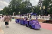 На другой берег можно прокатиться на паровозике.