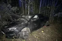 Фото с места ДТП.