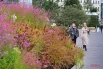 Центр столицы украшают необычные  клумбы. Растения высаживают таким образом, что каждый день расцветают новые цветы. Клумбы никогда не остаются «пустыми», нецветущими.
