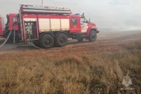 Фото тематическое.