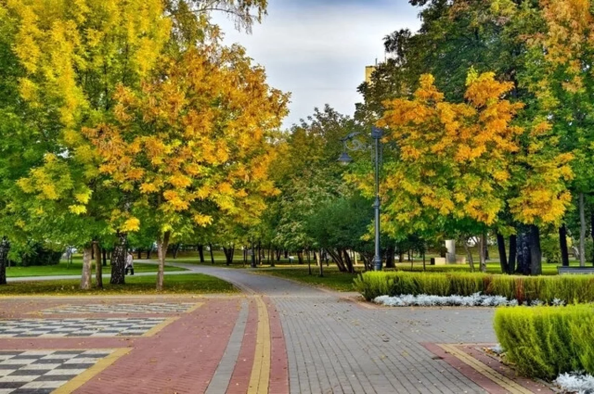 Жара, потом дожди. Прогноз погоды в Москве на 1 сентября и следующие дни