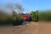 Принимаются все необходимые меры, чтобы не допустить распространение огня на жилой сектор.