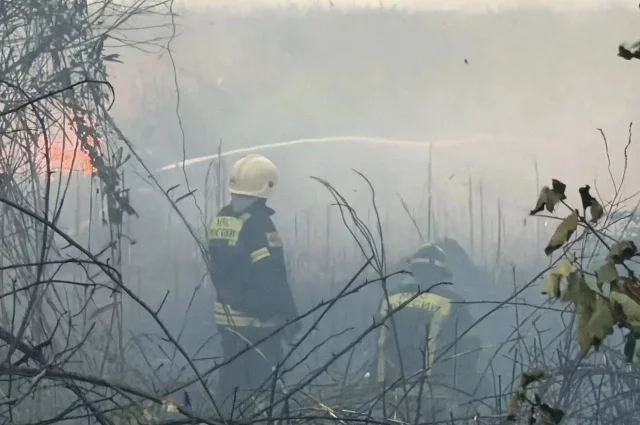 Днем 31 августа в Анапе загорелась растительность.