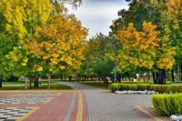 Первая неделя сентября в Казани: +27°C, дожди к выходным и бабье лето