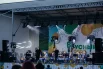 Кульминацией стало выступление приглашённых артистов.