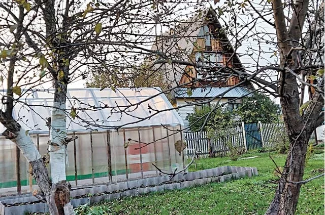 Обрезку стоит отложить до весны