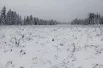 Покров может продержаться до мая следующего года.