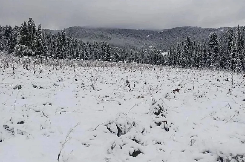 В Западном Саяне осень легко превращается в зиму. 