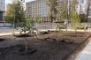 Сквер станет местом отдыха и умиротворения.