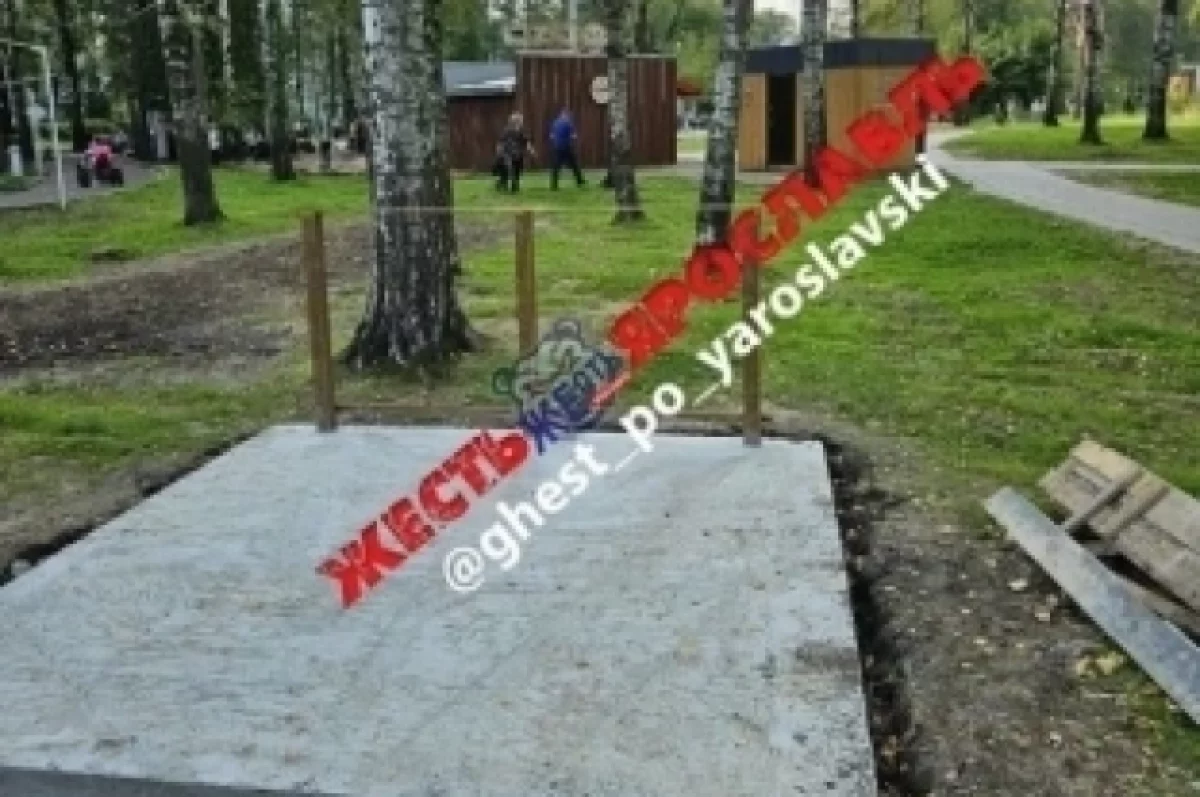 В парке Ярославля начали проверку после травмы головы у девочки