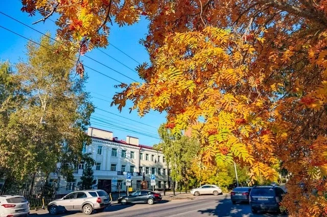 В сентябре–ноябре город предлагает мероприятия на любой вкус