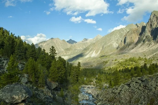 В местности, где пропала Жанна Козлова, есть крутые склоны, обрывы.
