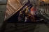 29958964d5abc1061adef9f217eb1116.webp