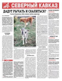 Дадут рычать и скалиться?