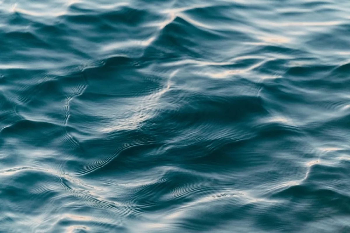 Фото