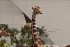 b587fd09dea6e00c34c5f1a99e4974fb.webp
