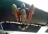 7b48e474855277df40fbbac3dafc0327.webp