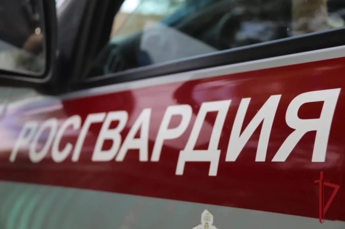 Росгвардейцы помогли мужчине на улице в Чите