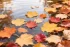 8c3219fbf11fabd8079f51e1d7688ab5.webp