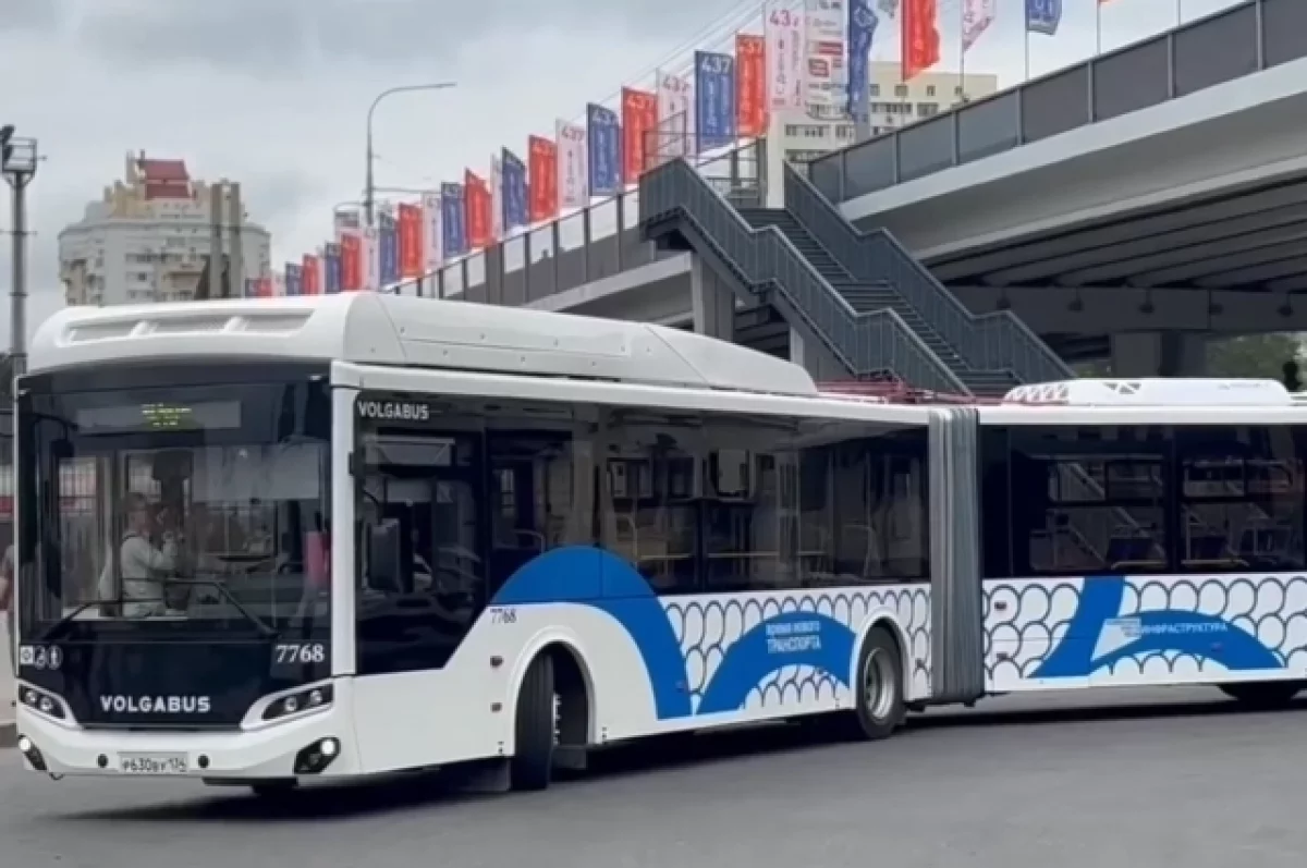 На улицах Волгограда появились новые автобусы-гармошки