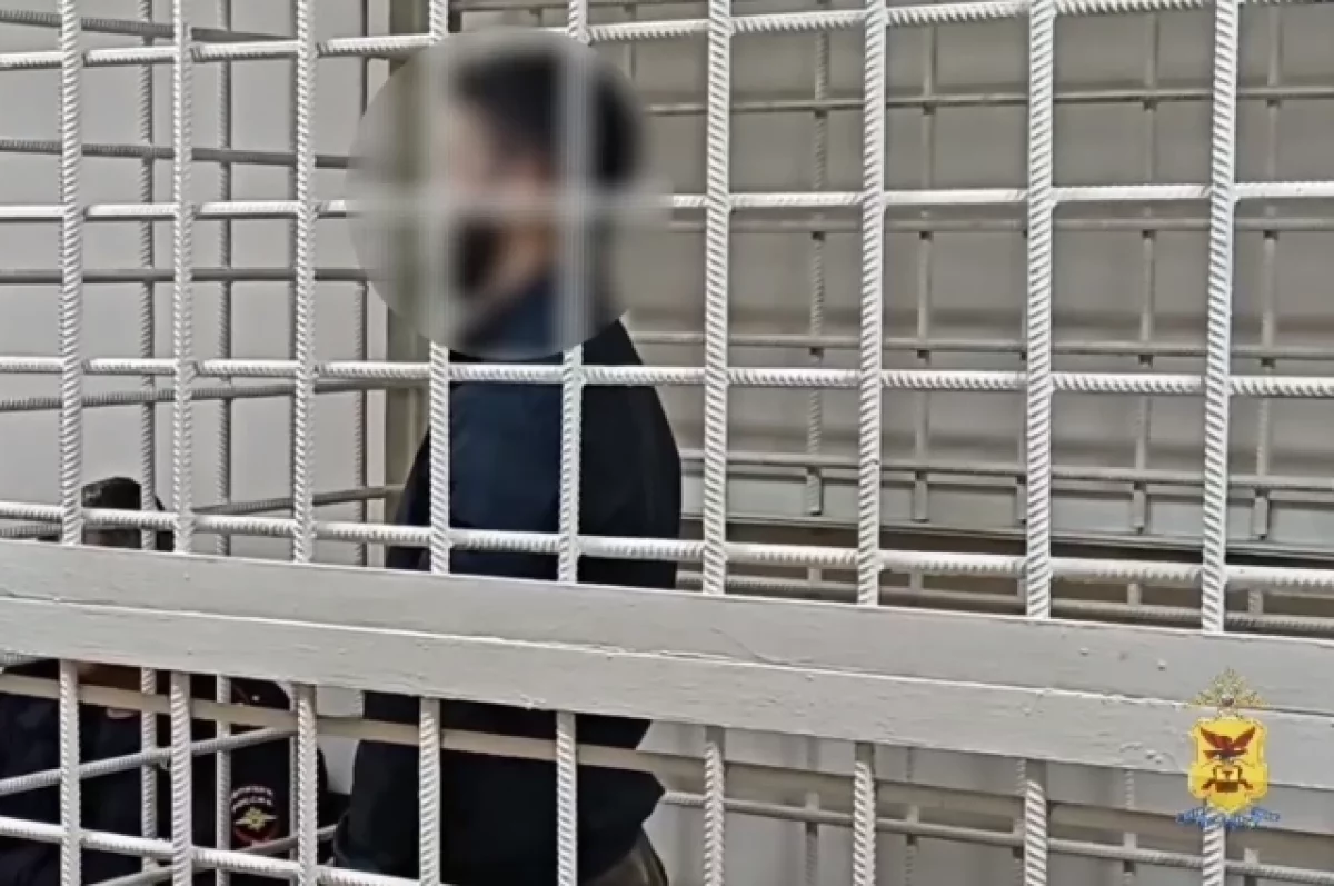 Читинские полицейские задержали курьера телефонных мошенников в Москве