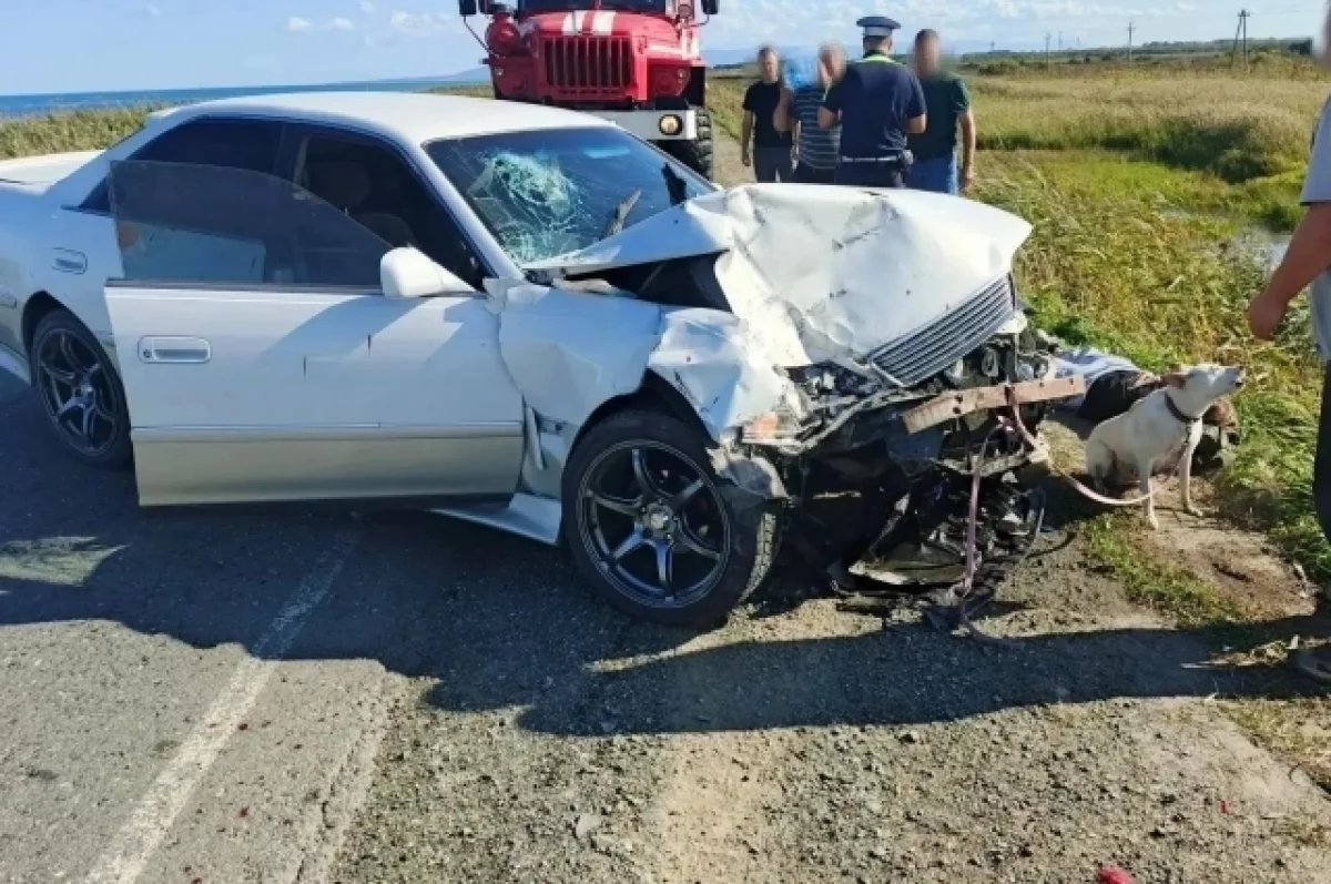 Два человека пострадали в ДТП на трассе Южно‑Сахалинск — Оха