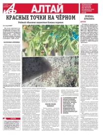 АиФ-Алтай