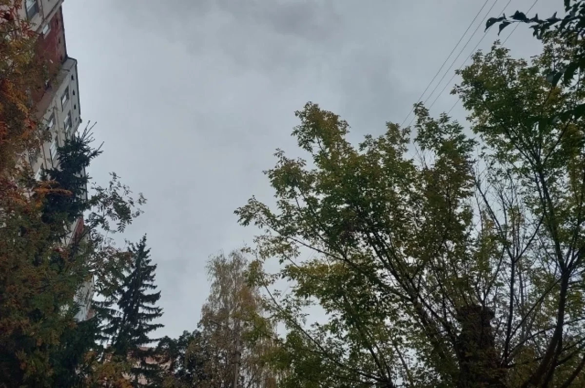 Над Тульской областью в ночь на 17 сентября уничтожили 12 беспилотников