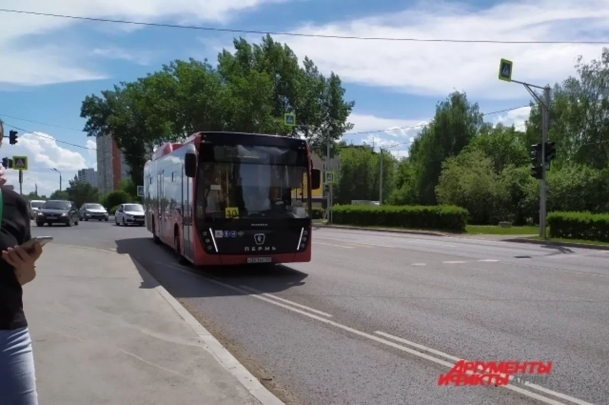 В дни голосования в Перми усилят работу автобусов у избирательных участков