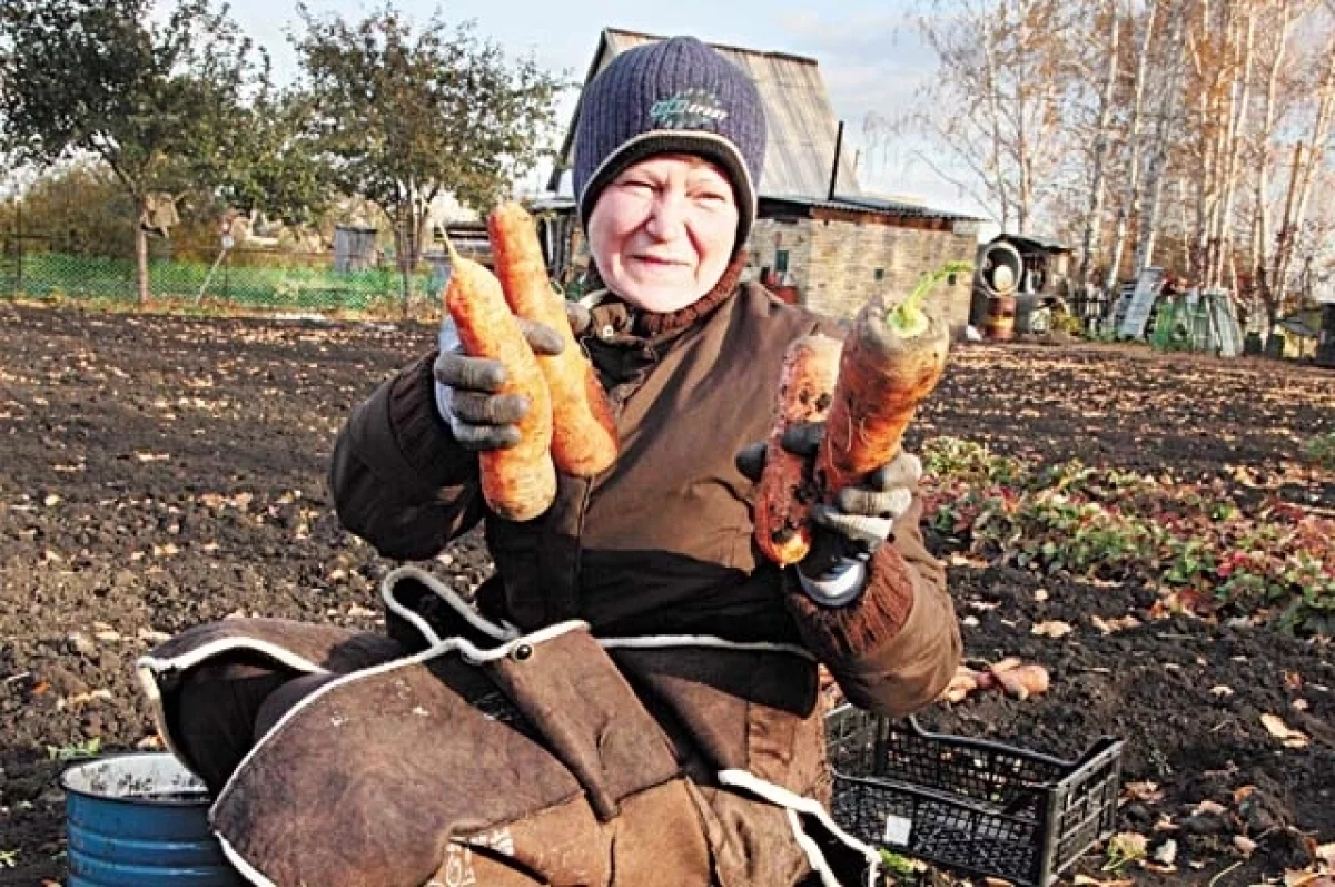 Почему осеннее равноденствие — не повод закрывать дачный сезон