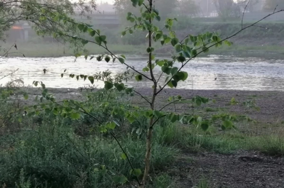 Белгородские власти прокомментировали ситуацию с плотиной водохранилища
