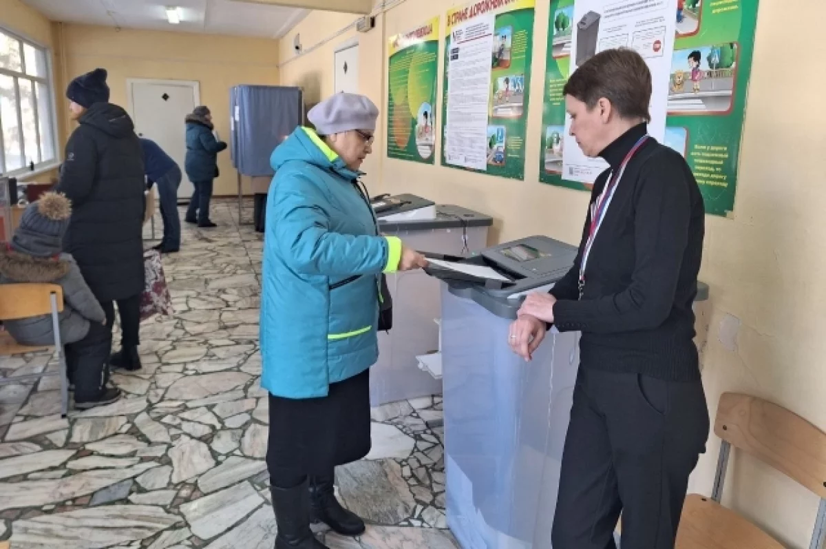 В Пензенской области на выборах не будет коибов