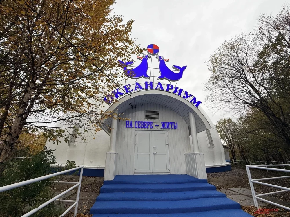 Самый северный в Европе. В Мурманске открыли океанариум