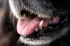 96eae6279740d80e0908b3bf8cf6b944.webp