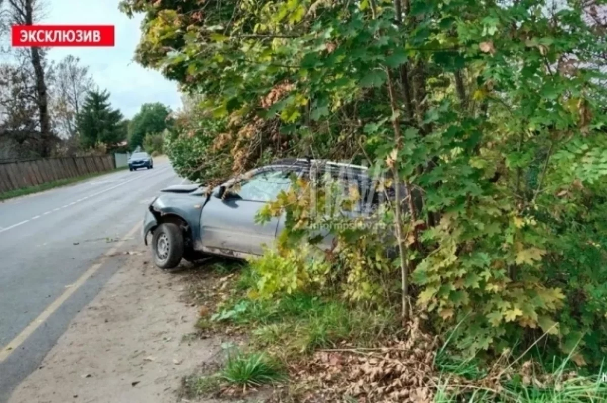 Водитель скончался до приезда скорой помощи в Стругах Красных