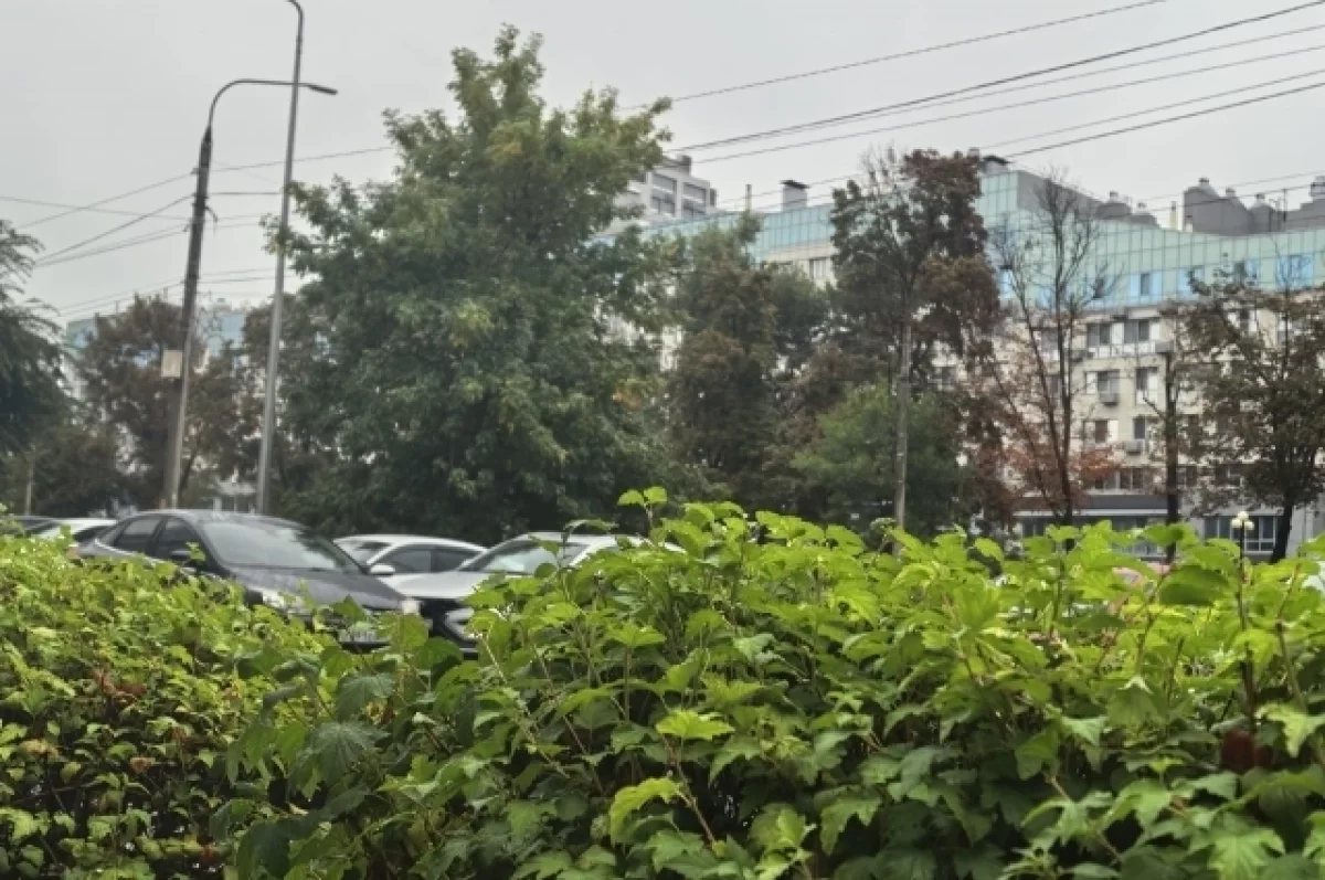 БПЛА ВСУ, водохранилище, учитель года, погода