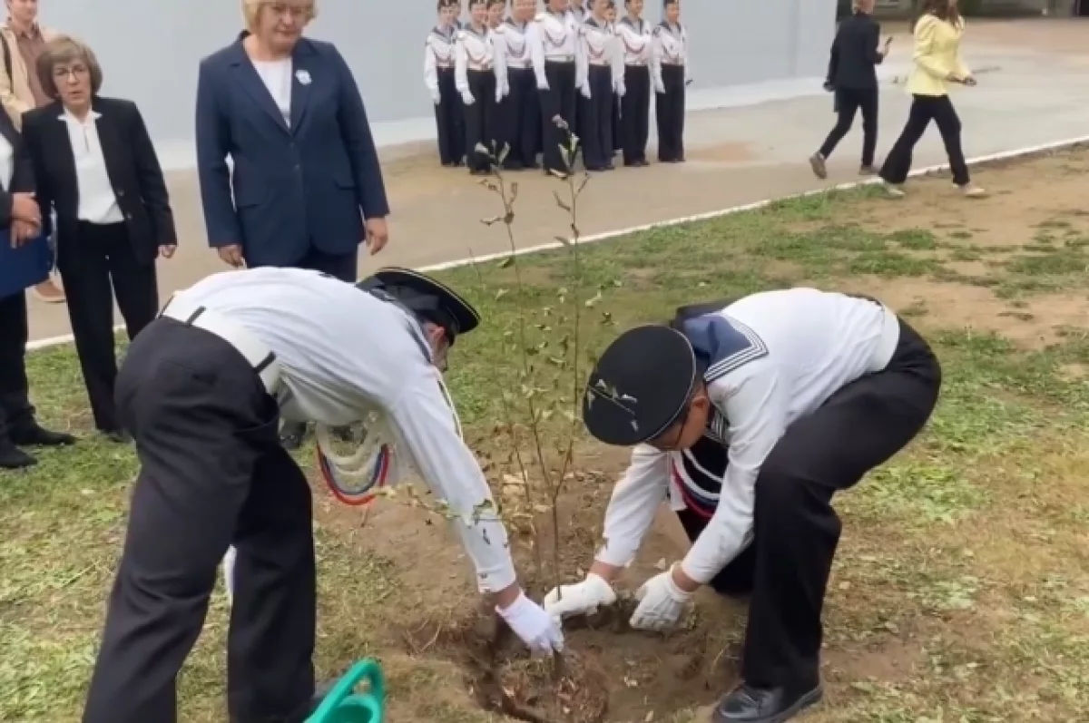 Яблоню высадили в Чите в память о Герое России Егоре Секержитском