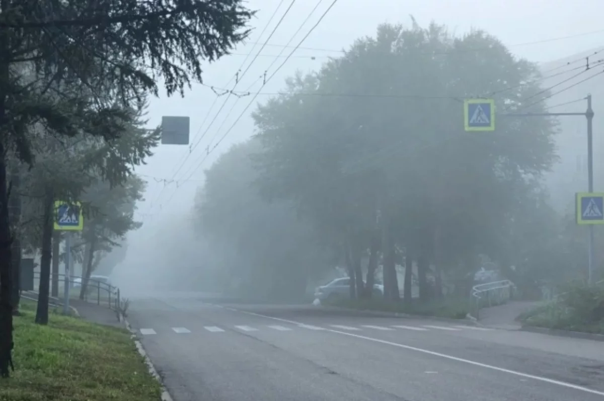 Жёлтый уровень опасности: Самарскую область накроет густой туман