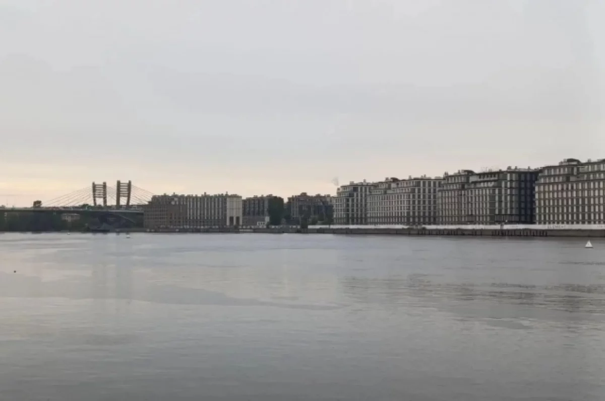 В Петербург приходит очередной циклон: к вечеру небо затянет, пройдут дожди