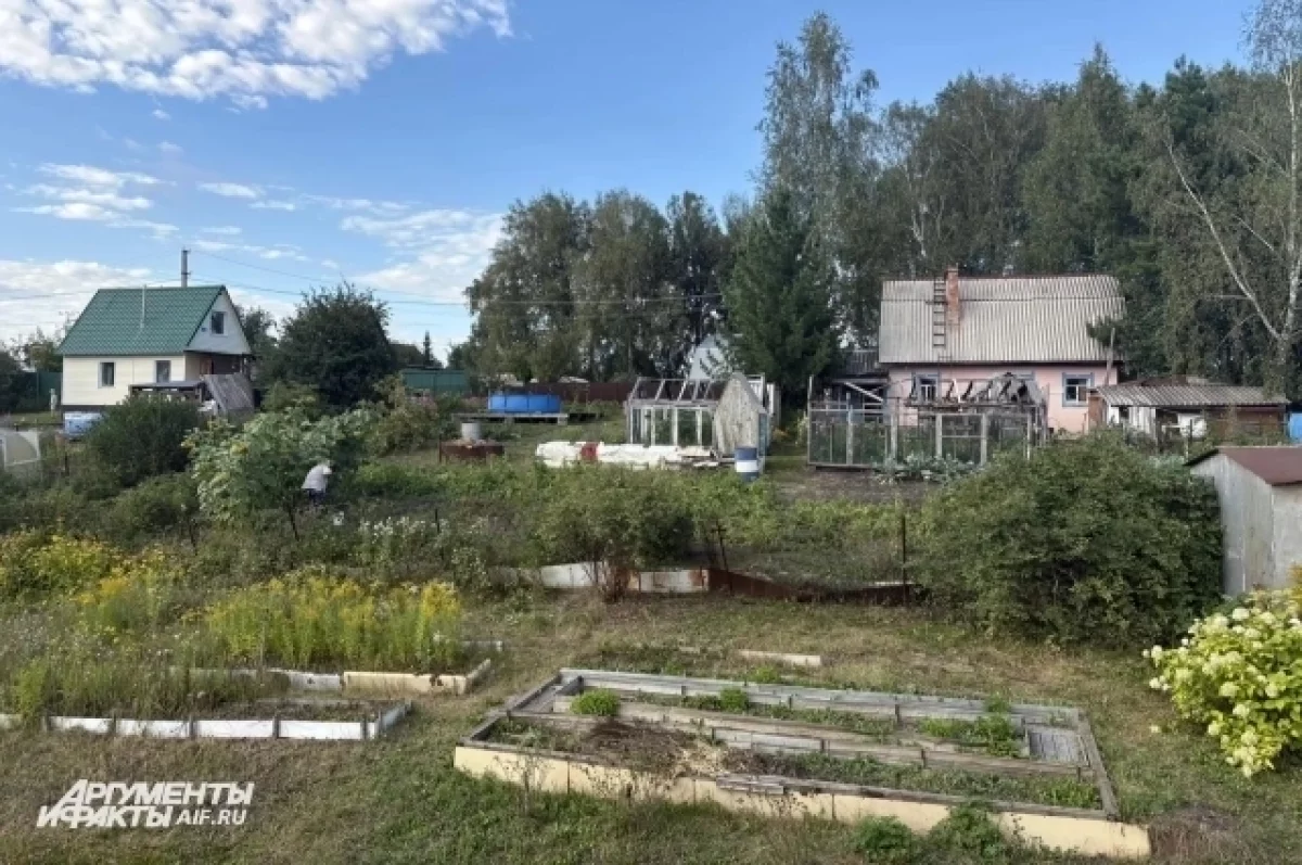 что нужно знать о защите от грызунов и сырости
